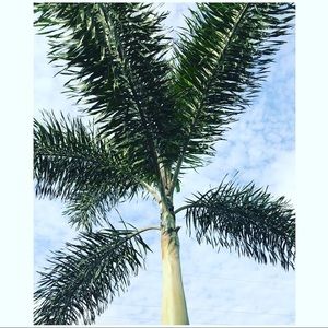 Meet your Posher, Caitlin